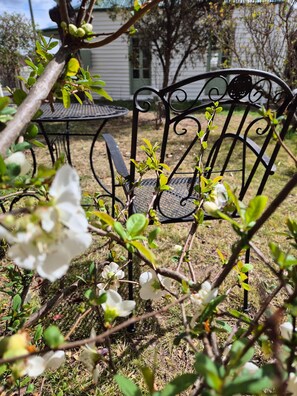A metal chair with a backrest, surrounded by greenery and white flowers.