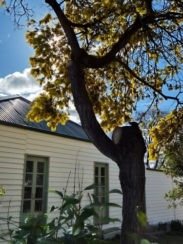 The Cottage on Malone