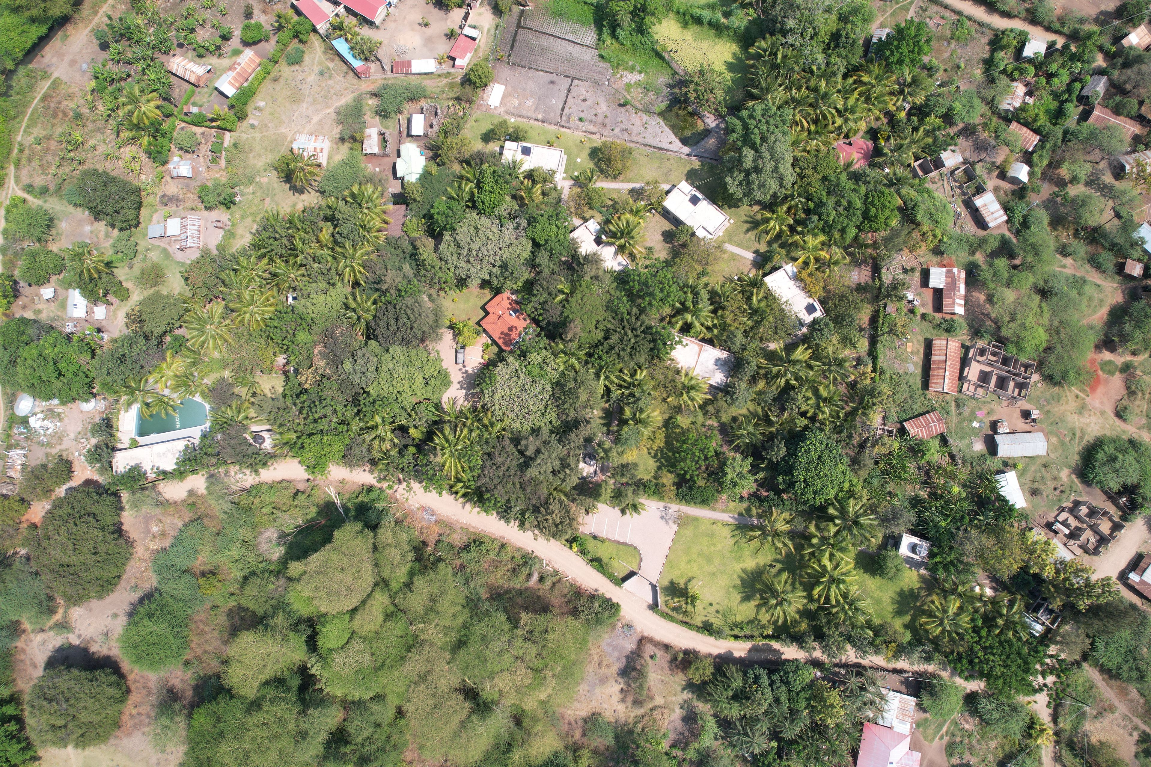 An aerial view of a residential area with houses, a swimming pool, and dense vegetation.