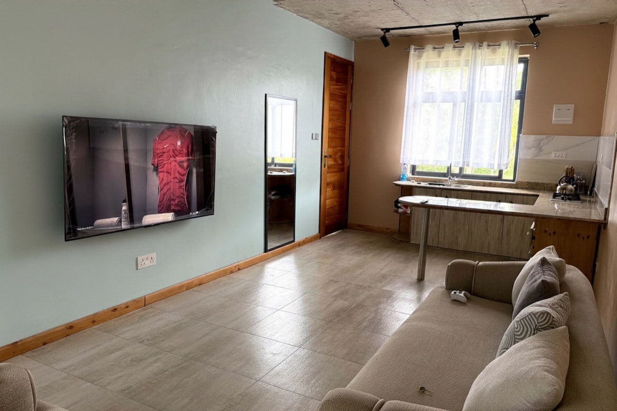A living room with a flat-screen TV, a sofa, and a kitchen area with a window.