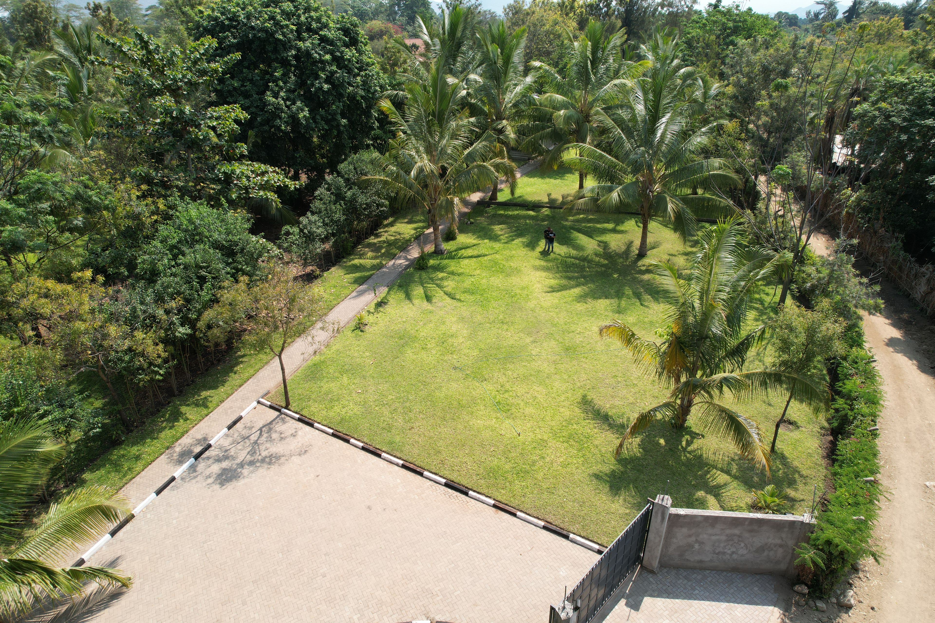 A paved pathway leading to a grassy area with palm trees, surrounded by dense foliage.