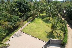 Un sendero pavimentado que conduce a una zona verde con palmeras, rodeado de abundante follaje.