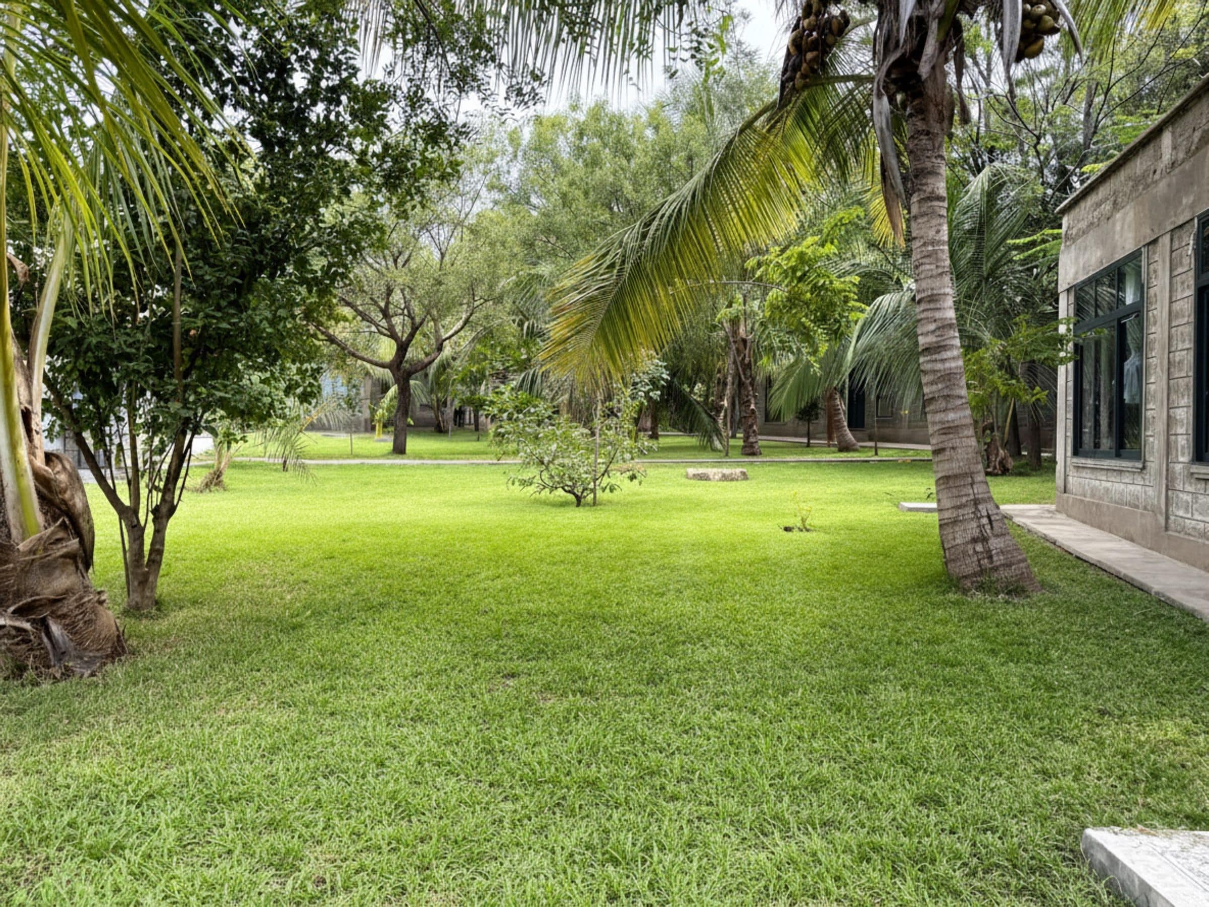 Jardim bem cuidado com diversas árvores e um caminho livre que leva a um edifício.