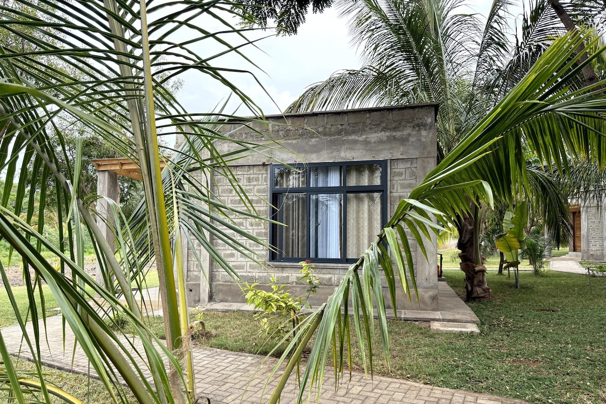 A modern building with a stone facade, a large window, and a paved pathway leading to it.