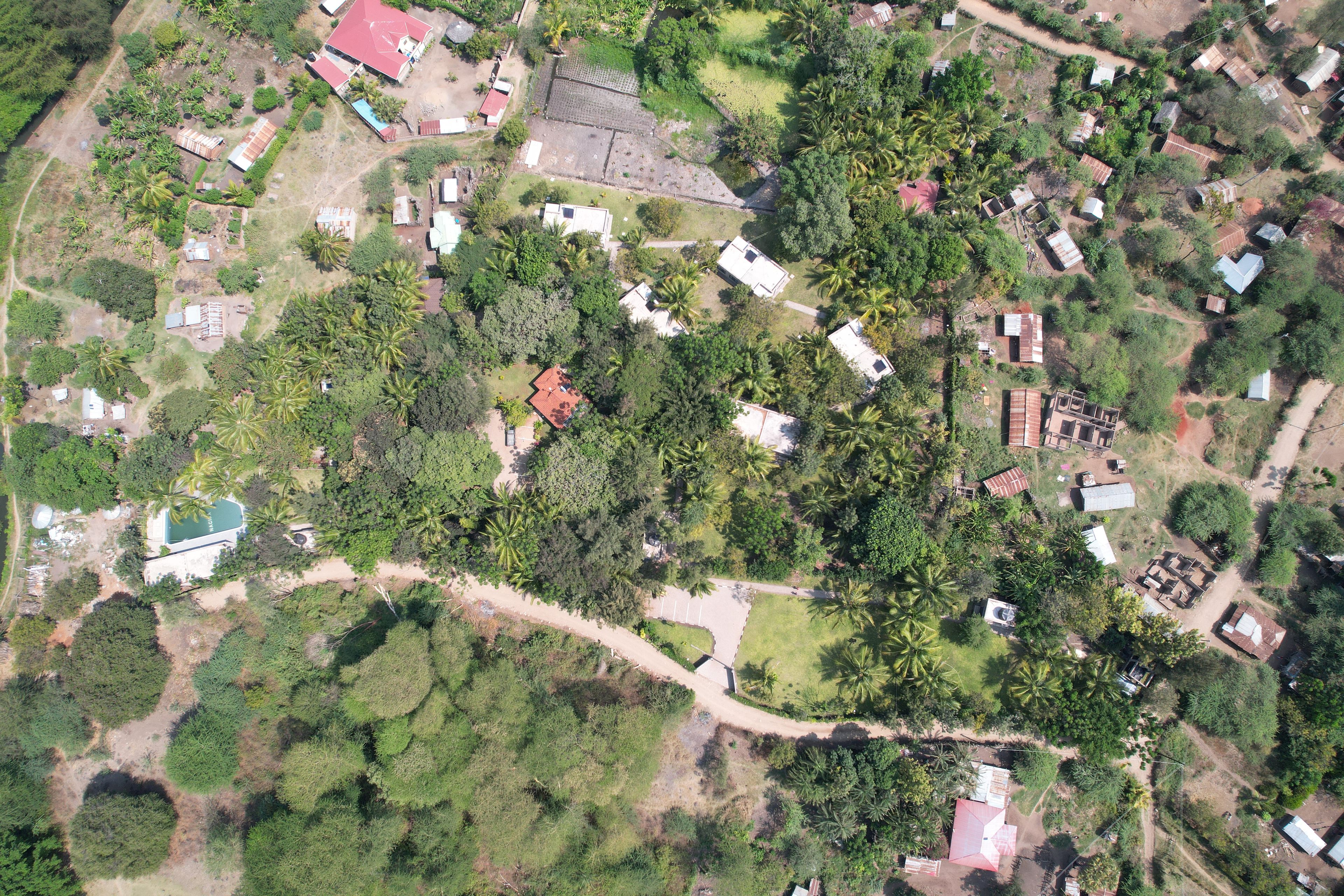 An aerial view of a residential area with multiple houses, some with red roofs, surrounded by dense vegetation and palm trees.