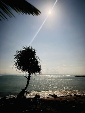 A beach scene with a palm tree silhouette, ocean waves, and a clear sky.