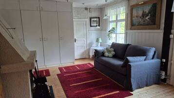 A room with a grey sofa, a red rug, and a white door.