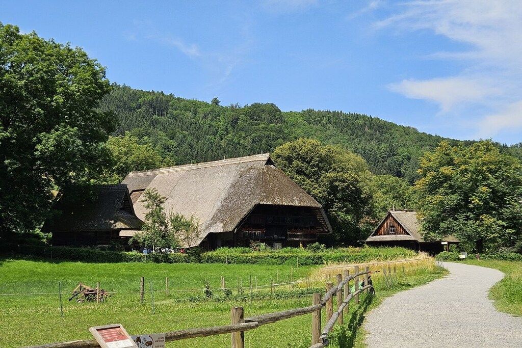 Ländliche Landschaft mit einem reetgedeckten Bauernhof und einem kleineren Gebäude, umgeben von üppiger Vegetation und blauem Himmel.