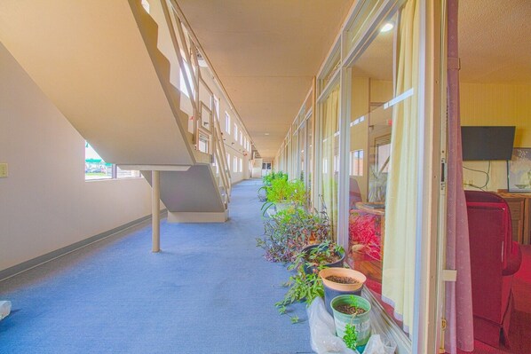 A corridor with a blue carpet, potted plants, and a staircase.