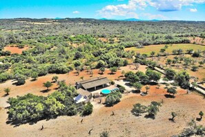 A rural property with a swimming pool, surrounded by olive trees and open land.