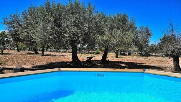 Pool - Cabin in Llubi with swimming pool (Llubi)