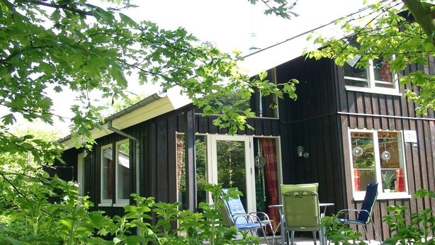Property grounds - Holiday home Kristin (Extertal)