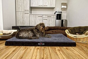 Ein Hund liegt auf einem grauen Tierbett in einem Raum mit Holzboden, weißen Schränken und einer kleinen Küchenzeile.