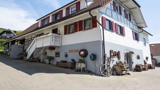A two-story building with a staircase leading to a balcony, surrounded by potted plants and outdoor furniture. - Holiday apartment with 1 bedroom (Oberkirch, Deutschland)