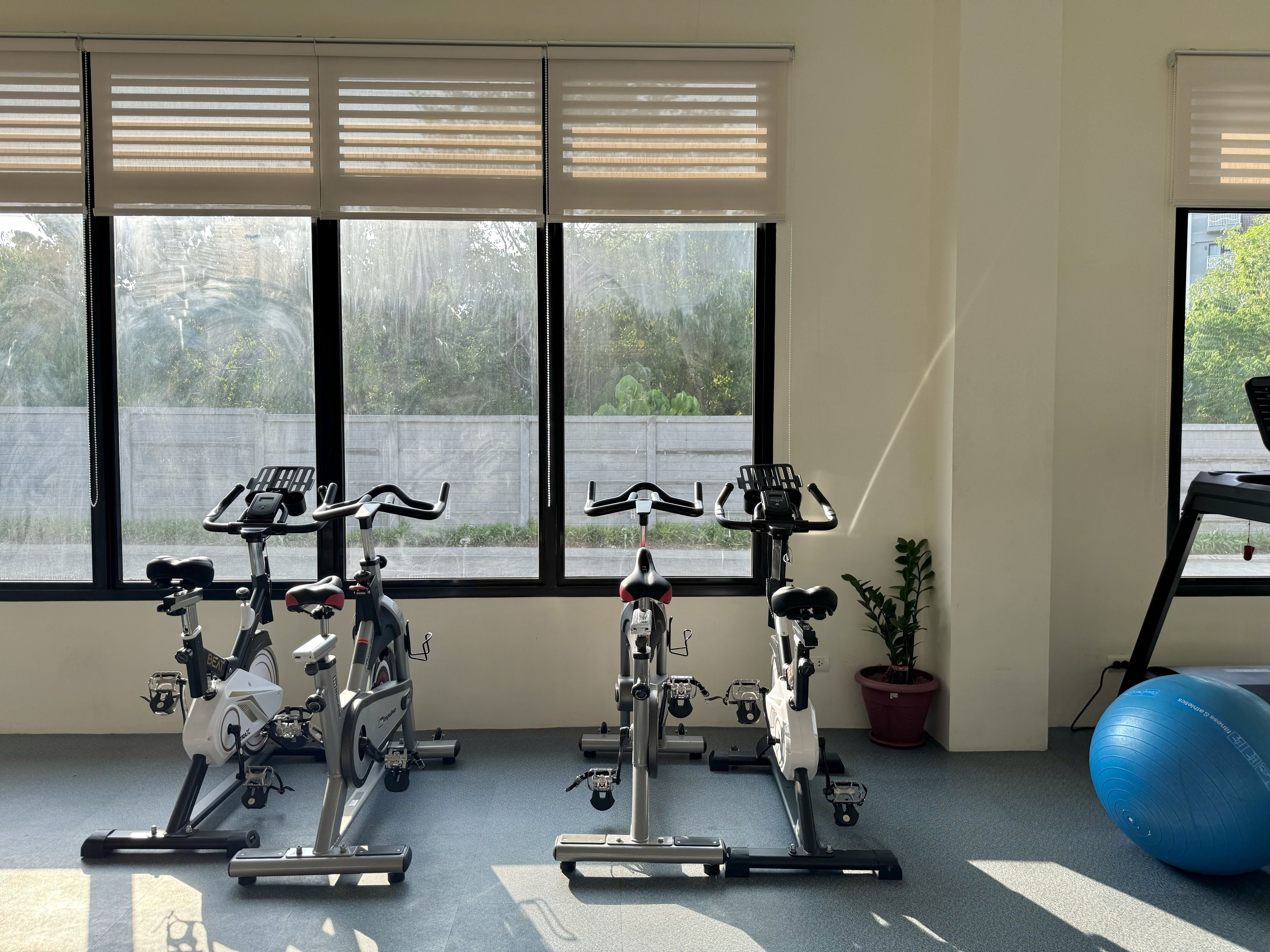 Een ruimte met vier hometrainers, een blauwe fitnessbal en een potplant.