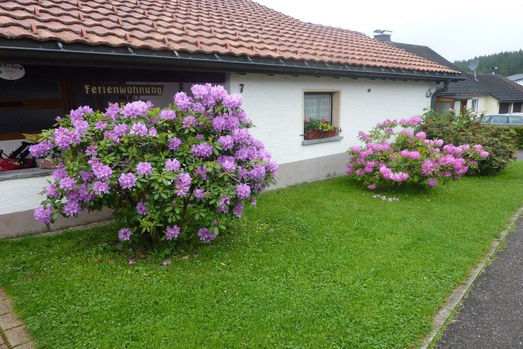 A building with a tiled roof and a sign that reads 'Ferienwohnung.' There are two flowering bushes in front of the building.