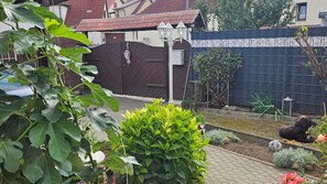 A garden with a variety of plants, a dog, and a decorative fence.