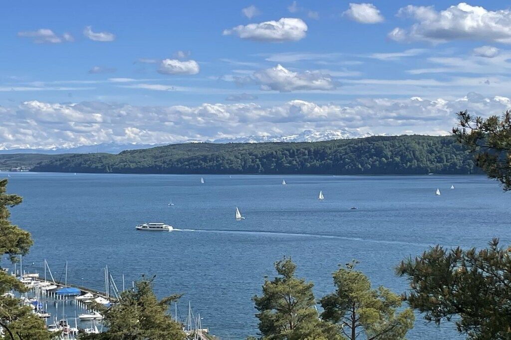 A marina with boats and a clear view of the surrounding hills.