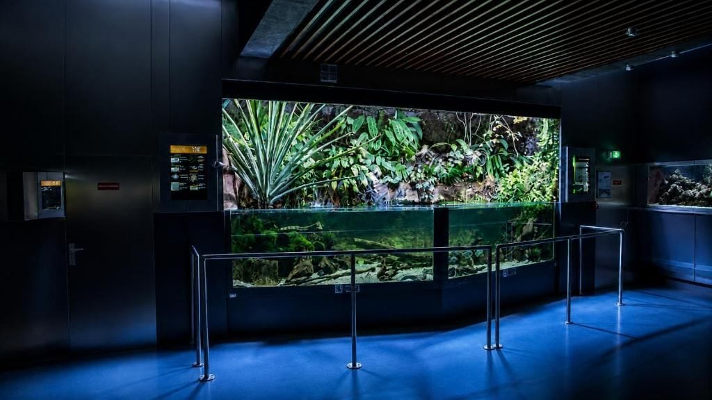 Un grand aquarium abritant des plantes et des poissons tropicaux, entouré d’une rambarde en métal.