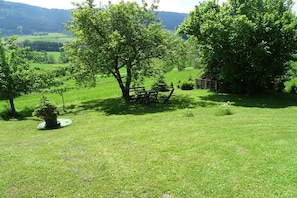 Um campo gramado com uma mesa de piquenique e um banco, cercado por árvores e uma cerca.