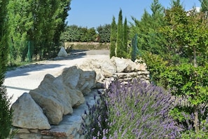 A pathway leading through a garden with stone walls and lavender plants.