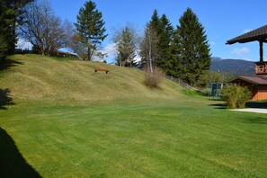 A grassy slope with a bench, trees, and a building with a red roof. - Holiday apartment in Krün with swimming pool (Krün)
