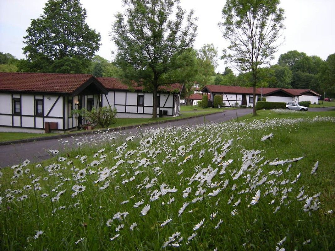 A traditional building with a sloped roof, surrounded by a grassy field with white flowers.