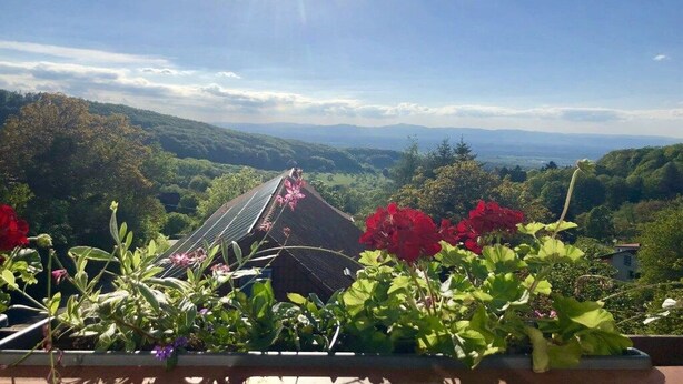 Uma varanda com vista para uma paisagem montanhosa, uma casa com telhado inclinado e algumas plantas floridas.