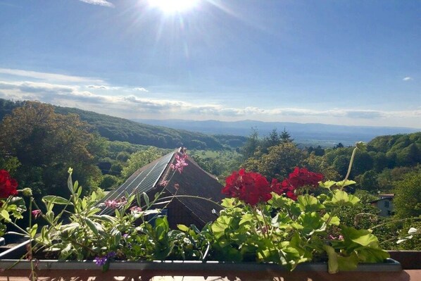 A balcony with a view of a mountainous landscape, a house with a sloped roof, and some flowering plants. - Holiday apartment with 1 bedroom (Badenweiler)