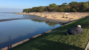 Ein Strand mit einer Person, die im Gras sitzt, einem ruhigen Meer und Bäumen im Hintergrund.