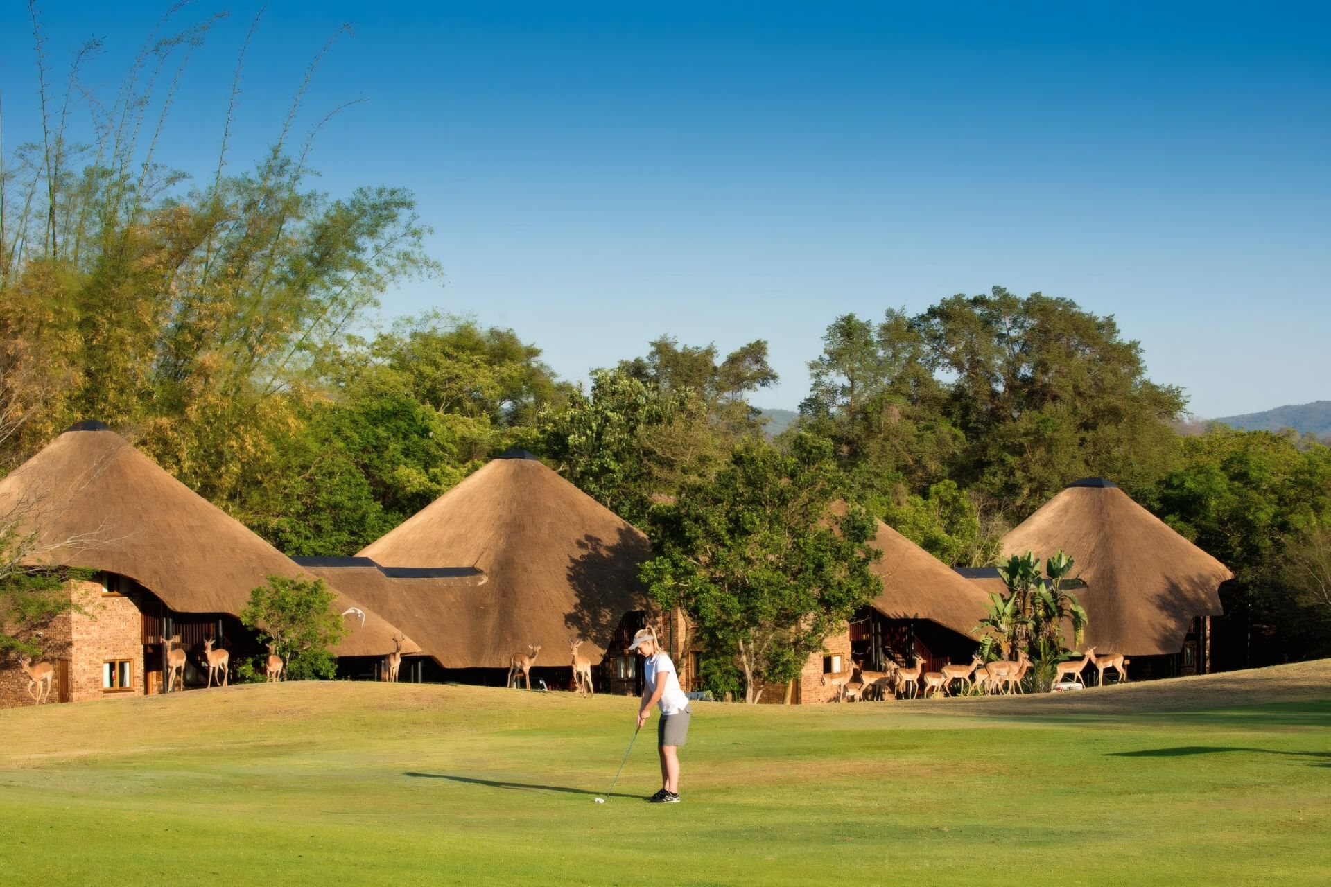 A golf course with thatched-roof structures and a person playing golf.