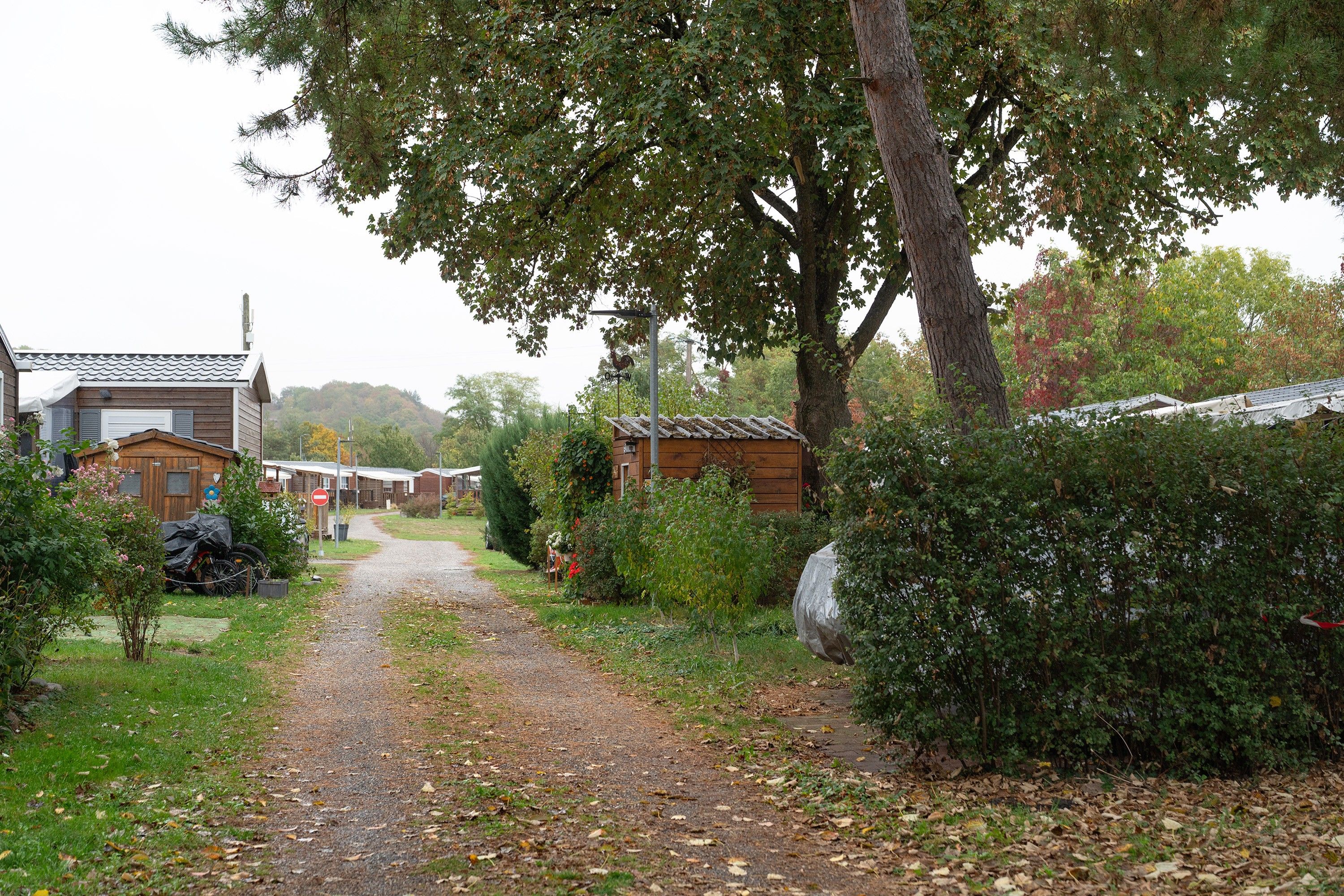 Un sendero de grava que conduce a una hilera de cabañas de madera, con un paisaje rural de fondo.