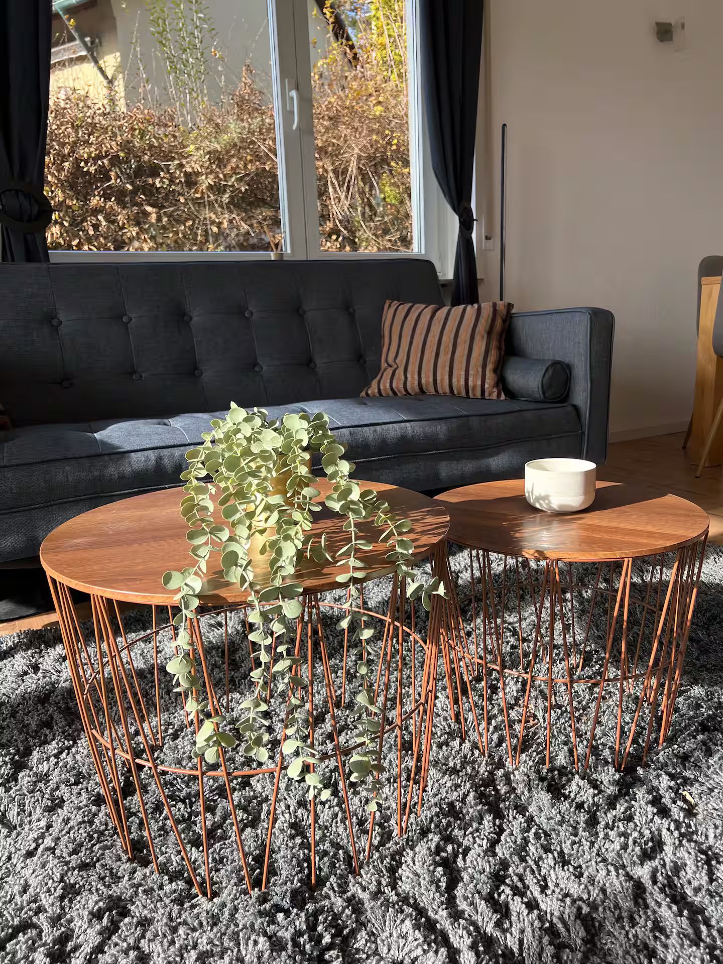 A living room with a sofa, two coffee tables, and a potted plant.