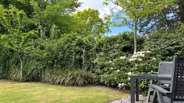 A patio area with a table and chairs, surrounded by a well-maintained hedge and trees. - Captain's House Apartment 2 (Cuxhaven-Duhnen)