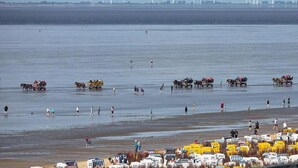 Beach - Holiday apartment with 2 bedrooms (Cuxhaven)
