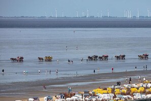Beach - Holiday apartment with 2 bedrooms (Cuxhaven)
