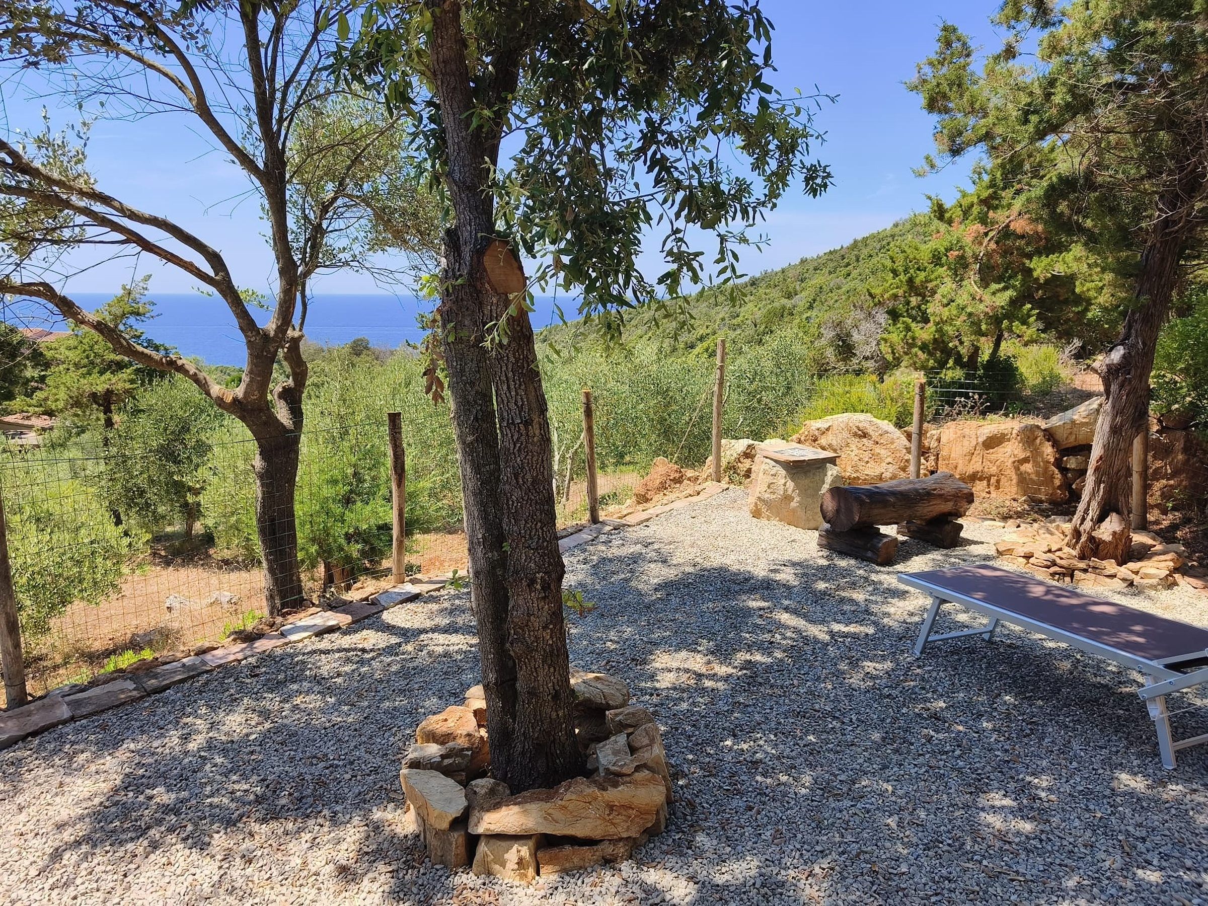 Un espace extérieur aménagé, avec un sentier de gravier, des arbres et un banc.