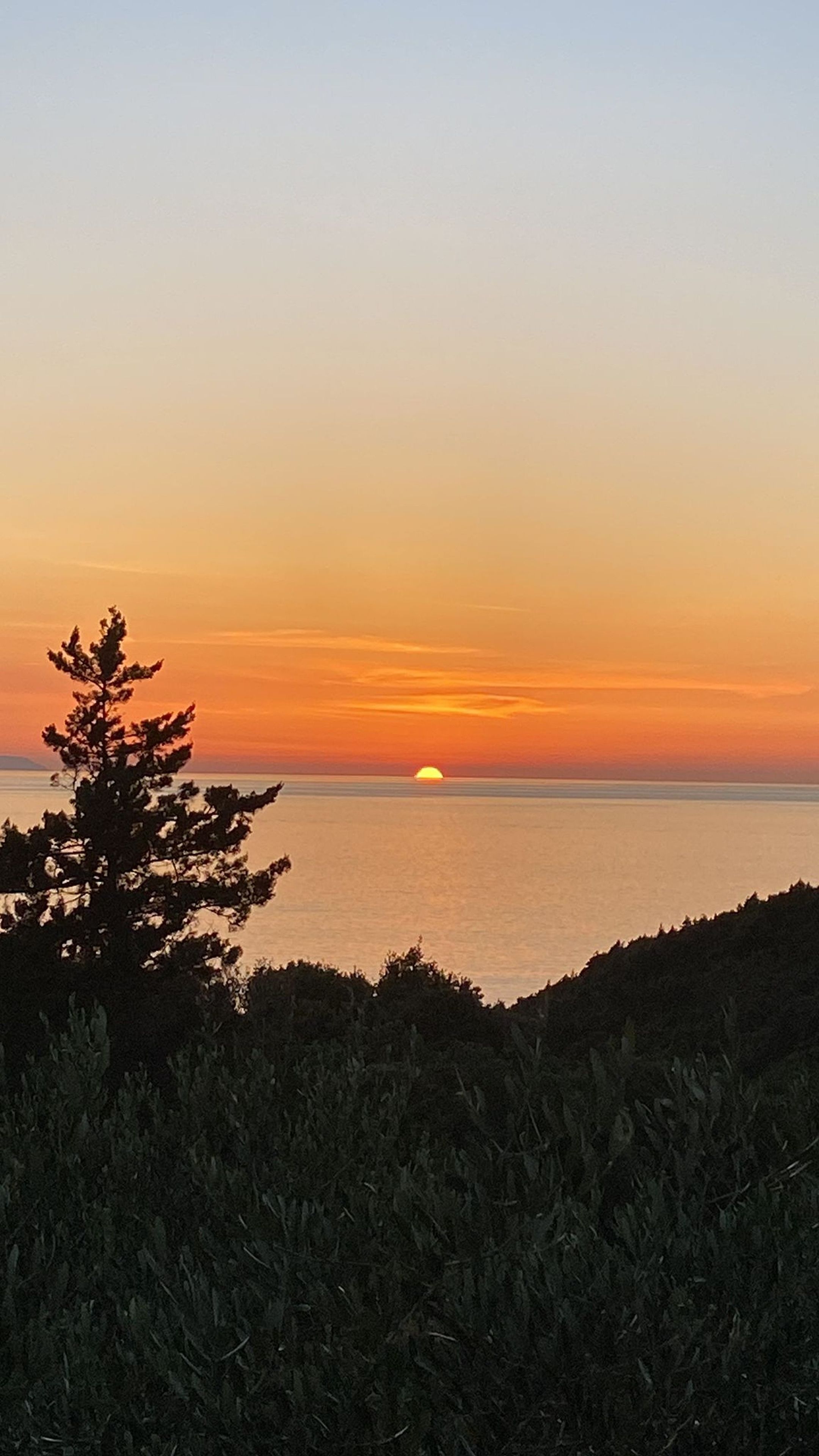 Un coucher de soleil sur une étendue d’eau, avec la silhouette d’un arbre au premier plan.