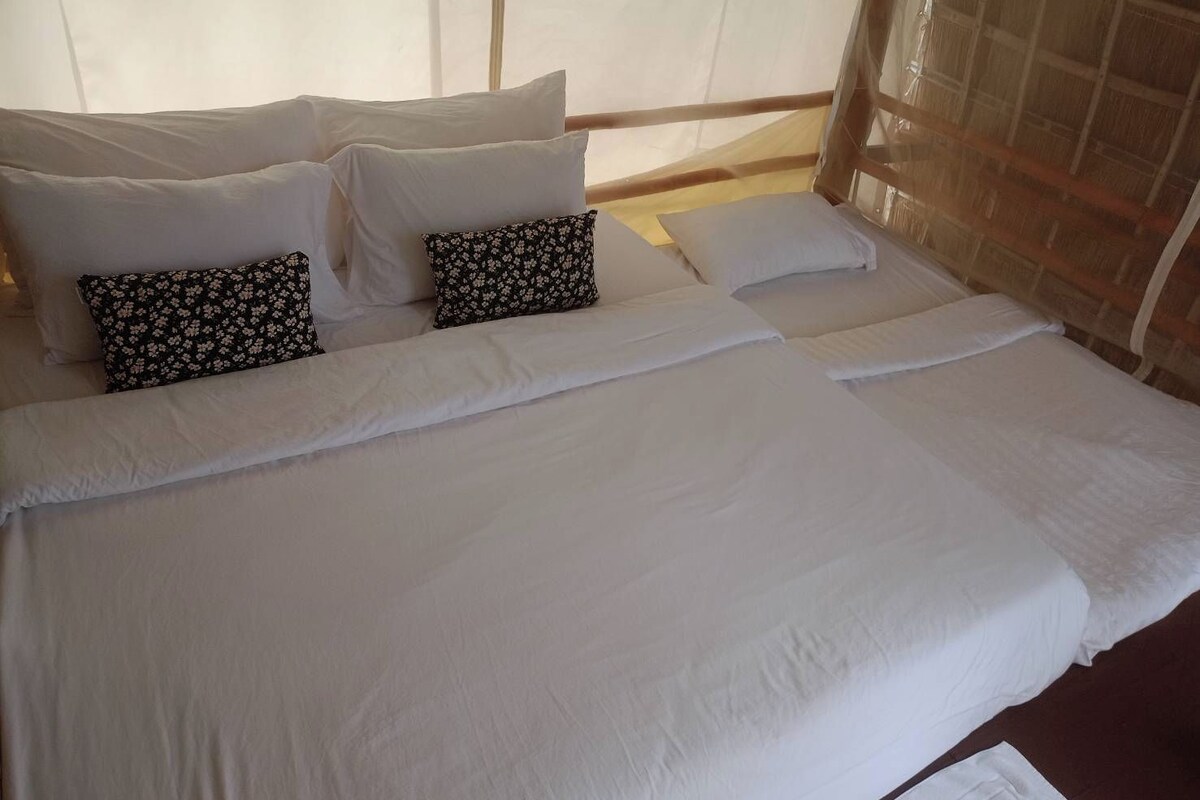 Superior Room, Mountain View