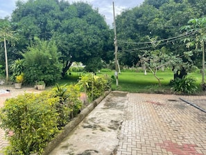 A paved pathway leading through a lush garden with various plants and trees.