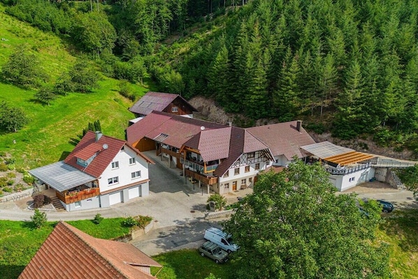 Edifici de diversos pisos amb un pati central, envoltat de verdura i arbres frondosos.