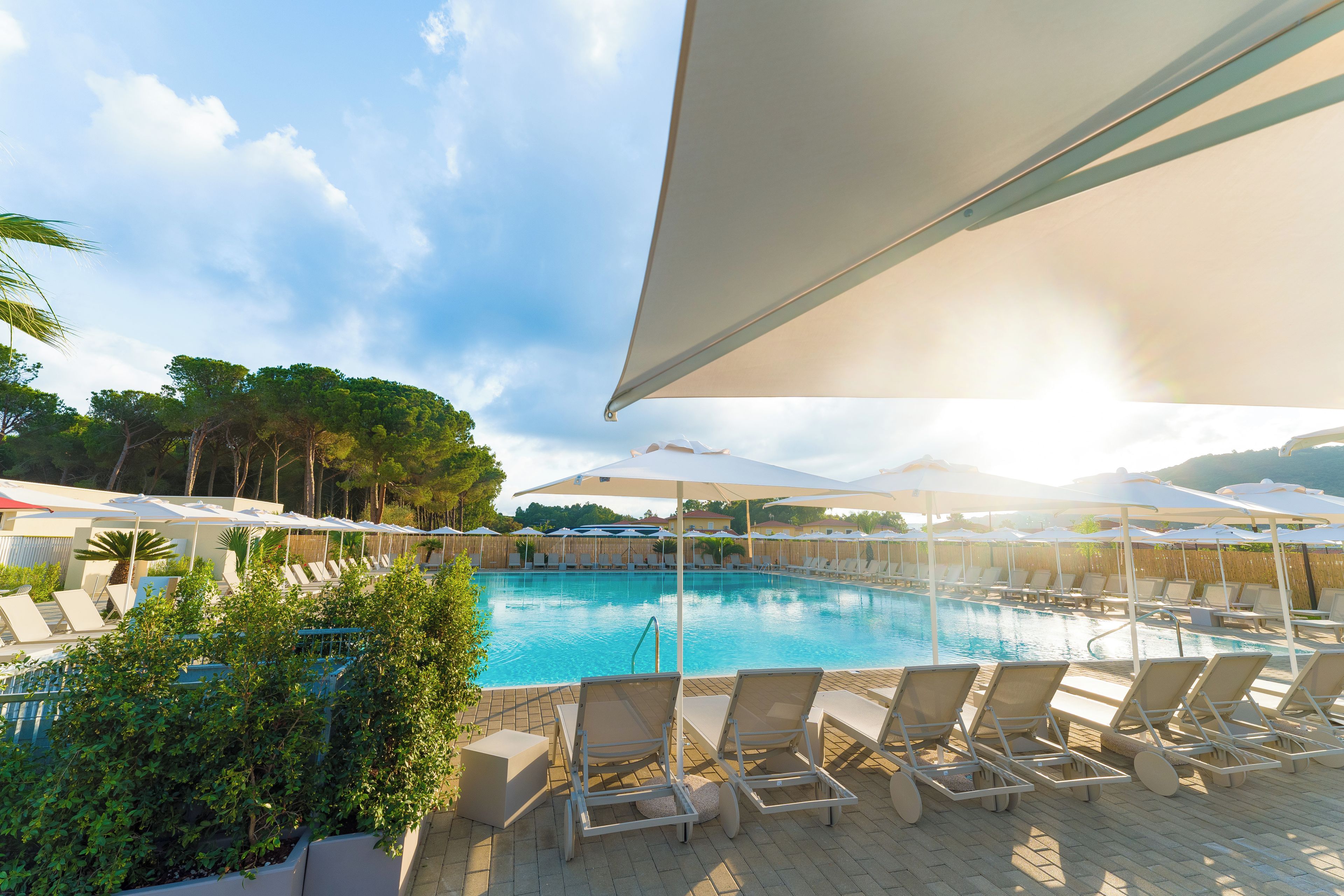 A poolside area with lounge chairs and umbrellas, surrounded by trees and buildings.