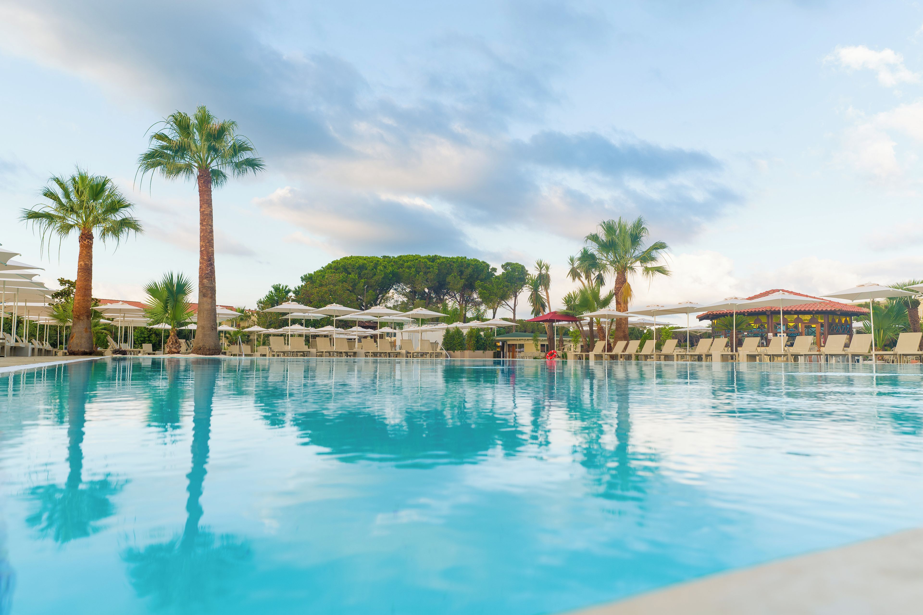 A swimming pool with lounge chairs and umbrellas, surrounded by palm trees and a clear sky.