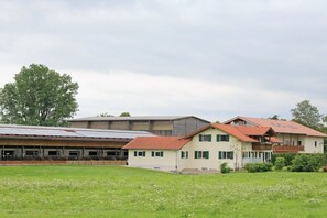 Um edifício com telhado plano, um amplo espaço aberto na frente e uma árvore ao fundo.
