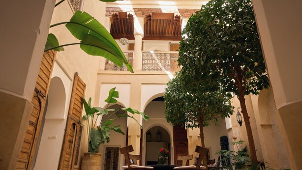 An indoor courtyard with a wooden table and chairs, potted plants, and a large tree. - Peaceful 5-Bedroom Riad in the Heart of Marrakech (Marrakesh)