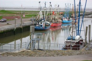 A harbor with boats docked, a pedestrian walkway, and a view of the sea. - Holiday home with 1 bedroom (Wurster Nordseeküste)