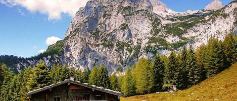 A rustic cabin with a wooden exterior, surrounded by a grassy area and a mountain backdrop.