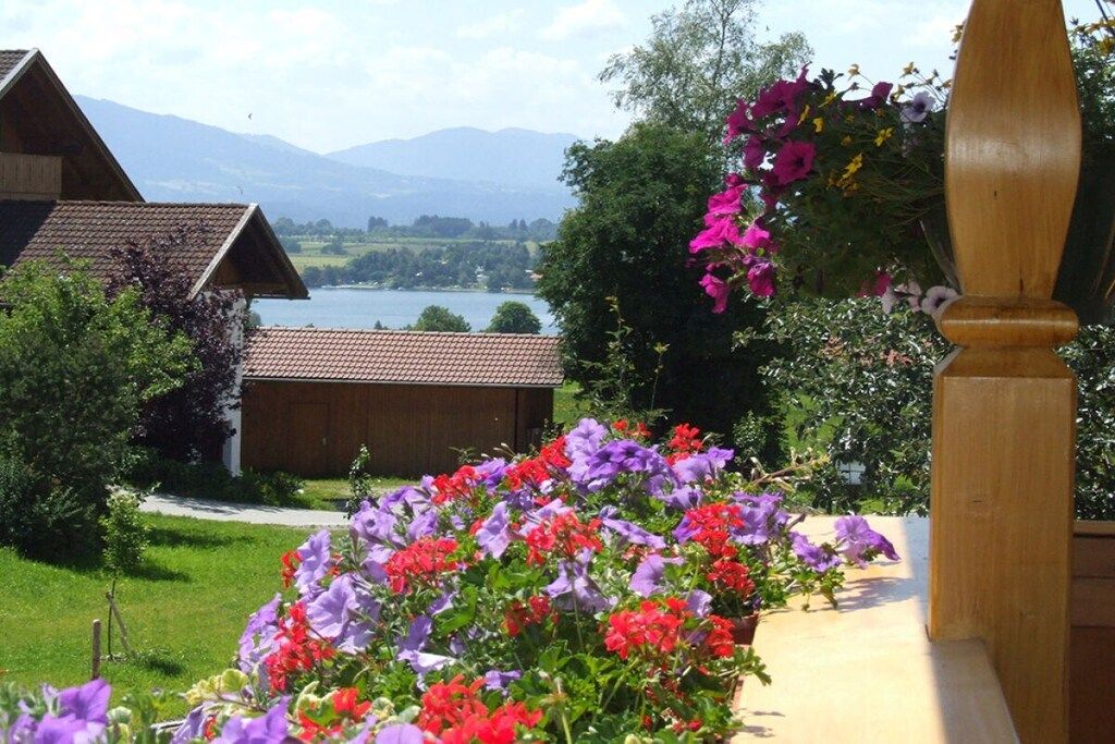 A garden with colorful flowers and a view of a lake and mountains.