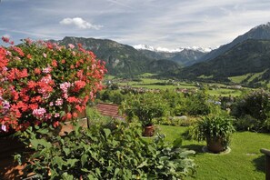 Een tuin met verschillende planten en bloemen, een huis met een rood dak, en een bergachtig landschap op de achtergrond.