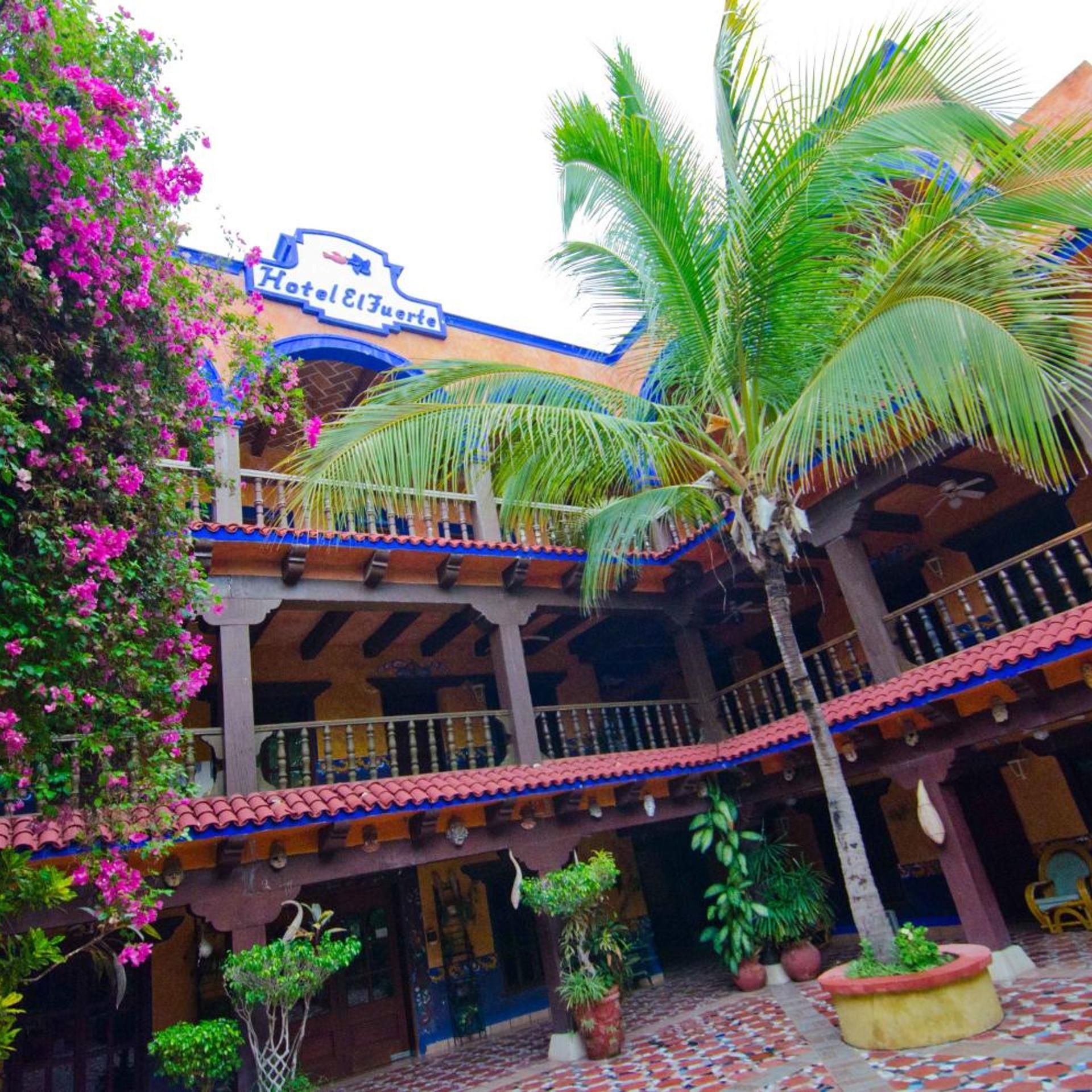 A hotel courtyard with a palm tree, potted plants, and a tiled floor.